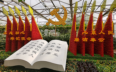 溫室大棚建設(shè) 溫室大棚